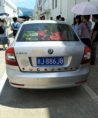 ������ƺ�������