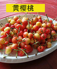 10点开抢 30箱樱桃抢到就送