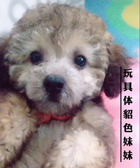 �������ɫ�������¼�