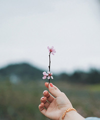 90���ٺ�����168�������ϰ࣬���ڿ�����