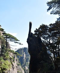 ��һ��ȥ���аɡ�91����ʦ���ӣ���ȥ����