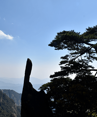 ��һ��ȥ���аɡ�91����ʦ���ӣ���ȥ����