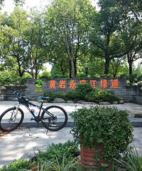 黄岩永宁江绿道一路满满的风景,真的很美!