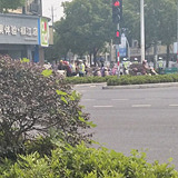几分钟就抓了一大堆
