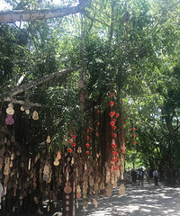 ���������ǳ��ߴ� �����������������