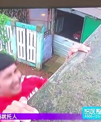 ����֪��һ���ĳ�Ϊʲô��ô�����