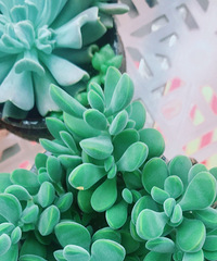 �Ҽ�����