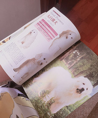 ���ҵ�˽���鵥���������Щһ���鵥һ�����