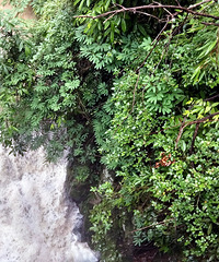 ����ѩ�ɽ һ���� ����200Ԫ/��