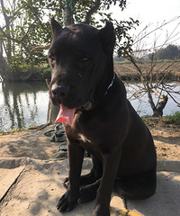 Ѱ�ҿ�˹��ĸ��������