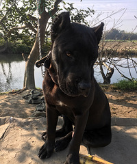 Ѱ�ҿ�˹��ĸ��������