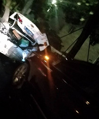 �������� �����������¹�