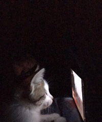 92�����ӽ����ϰ࣬�Ҹ������ǻ�������