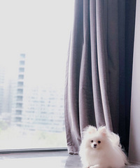 ��������������С���С����𣬴������˽�һ��ѽ