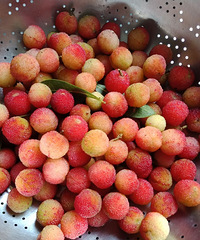 ���۸��᡿����÷��ô������