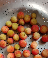 ���۸��᡿����÷��ô������