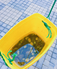 �����񵺤��á���˵�ж�����ʥ�����ᣬС����һ��һ�����