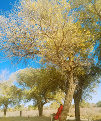 ��һ��ȥ���аɡ����������Ჴ��