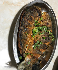 ���������տ� ����ˬ����