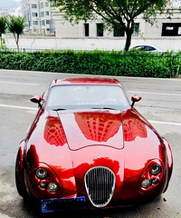 ��˾��Ҳ����ʶҪȥ���ղ�֪���ĳ�...