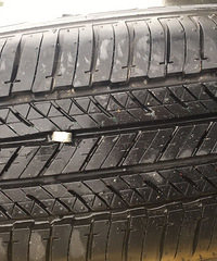 ���������µ��³�����̥�����ˡ�