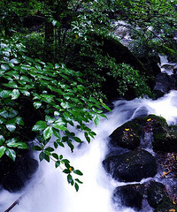 最喜欢雨后的九峰山小涧流水