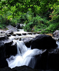 最喜欢雨后的九峰山小涧流水