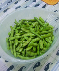 ������ë���� ����ë��������ͷ