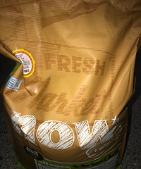 now�������� ��Ҷ��