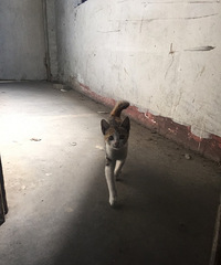 ��û�뵽ǰ���������ĵ����龹ȻͻȻ�����ڽ���