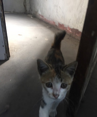 ��û�뵽ǰ���������ĵ����龹ȻͻȻ�����ڽ���