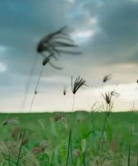 92����175��ϲ�����У�����