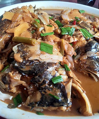 到了长潭 焉有不食鱼之理