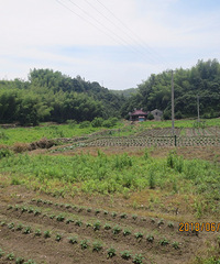 �������Ǽ�ˮ��