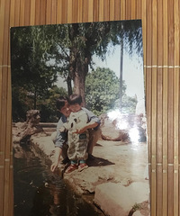 ���۸��᡿���׽ڸ��ְ����ɶ��