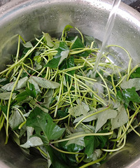 ���۸��᡿������Ҷ�Ӻ͹����ĸ�����Ӫ����