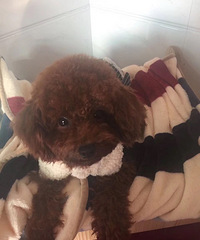 ����̩�Ϲ����¼� ��