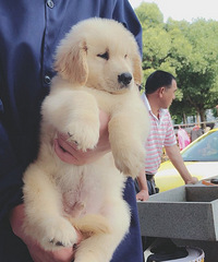 ��½�ھ�����������ֽ���ֱ��˳��ۣ�Ҫ��˽