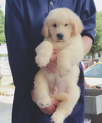 ��½�ھ�����������ֽ���ֱ��˳��ۣ�Ҫ��˽