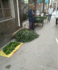端午节,我们郊区还是都吃粽子的