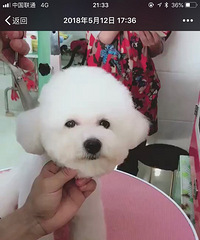 �ؽ�Ѱ�������æ��