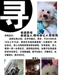 ����Ѱ�裬���Ұ����