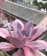 6���������