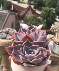 6���������