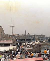 ѡ�������еġ�����̨�ݡ� ����Ƭ��ѡȫ������