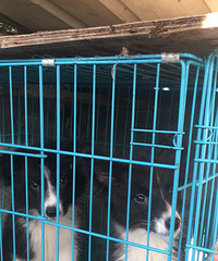 �������С�һ�