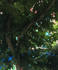 ���۸��᡿�����ֻ����������𣿻�����������Ṻ����