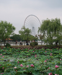 ���꽭����ʩ�� �����԰���