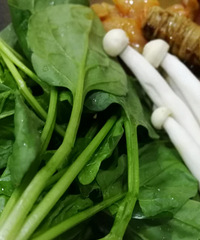 ��������� �а�����3�����