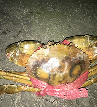 总觉得车上有股怪味道,没想到…